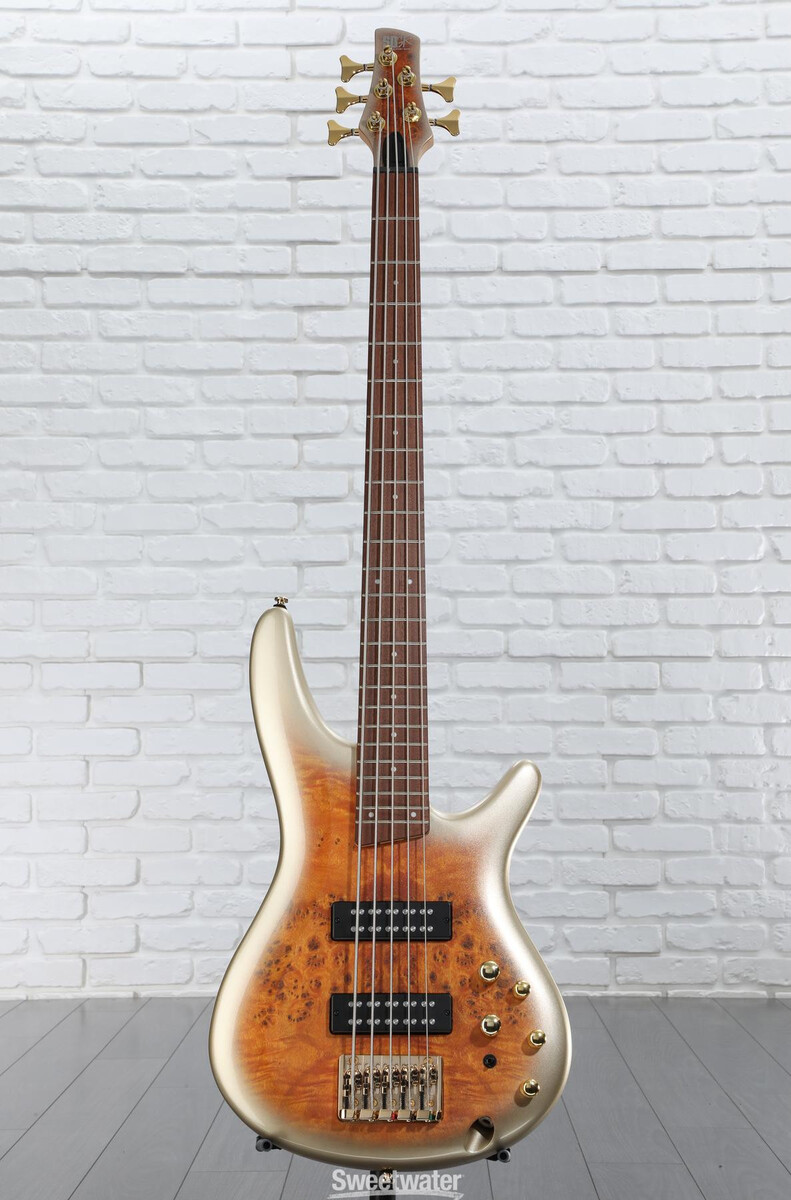 Music Gear Setup by martin_castro featuring Ibanez SR Standard 5-string Electric Bass