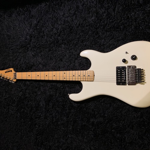 dominicrossetti's gear photo
