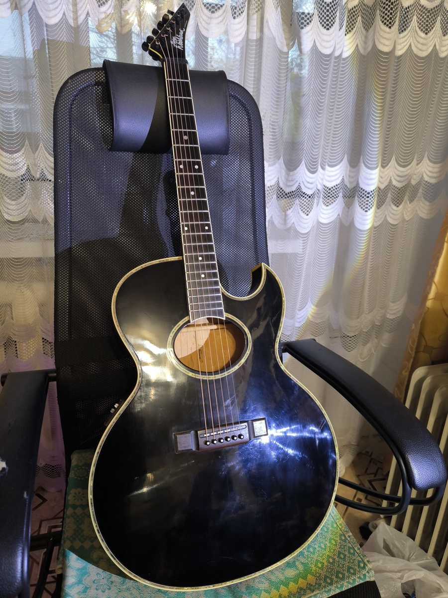 Music Gear Setup by mrdeanwin featuring Washburn EA-50 Festival Series