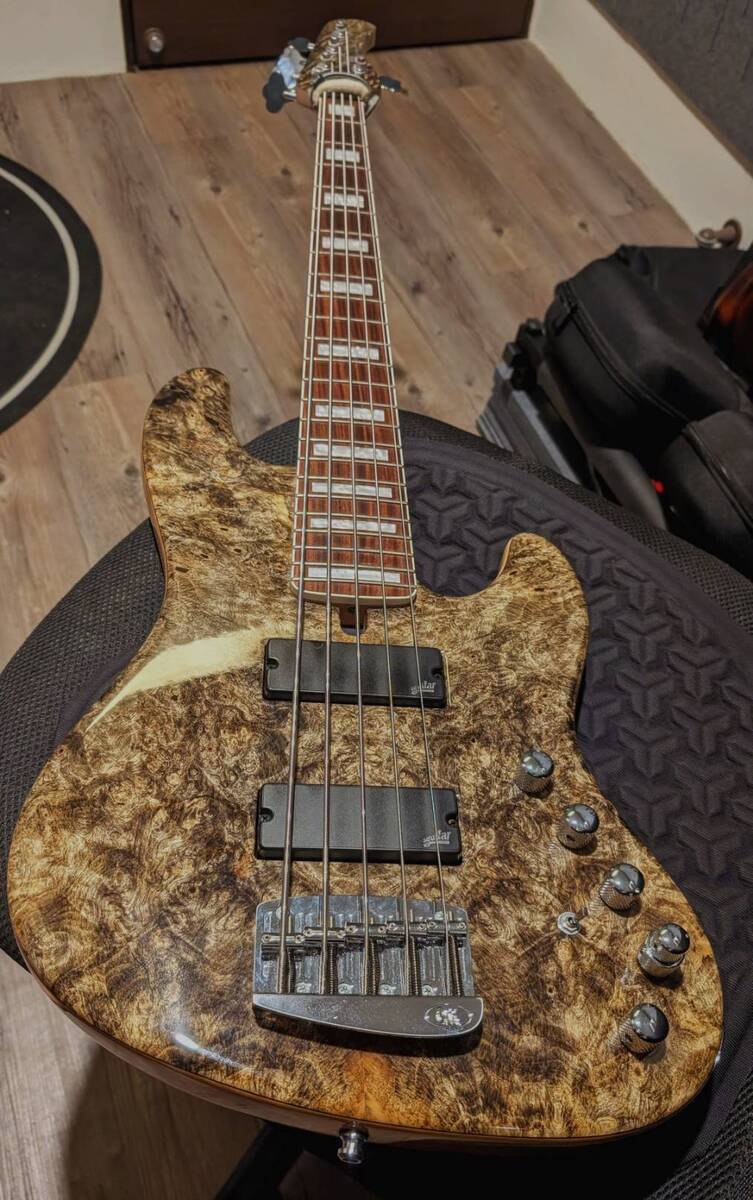 dani_foxx's music gear photo
