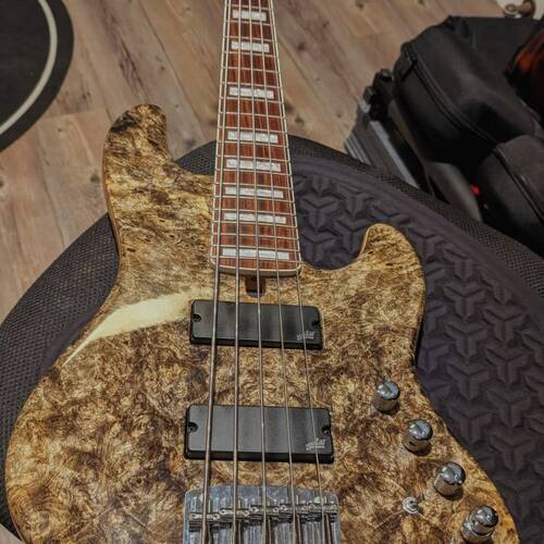 dani_foxx's gear photo