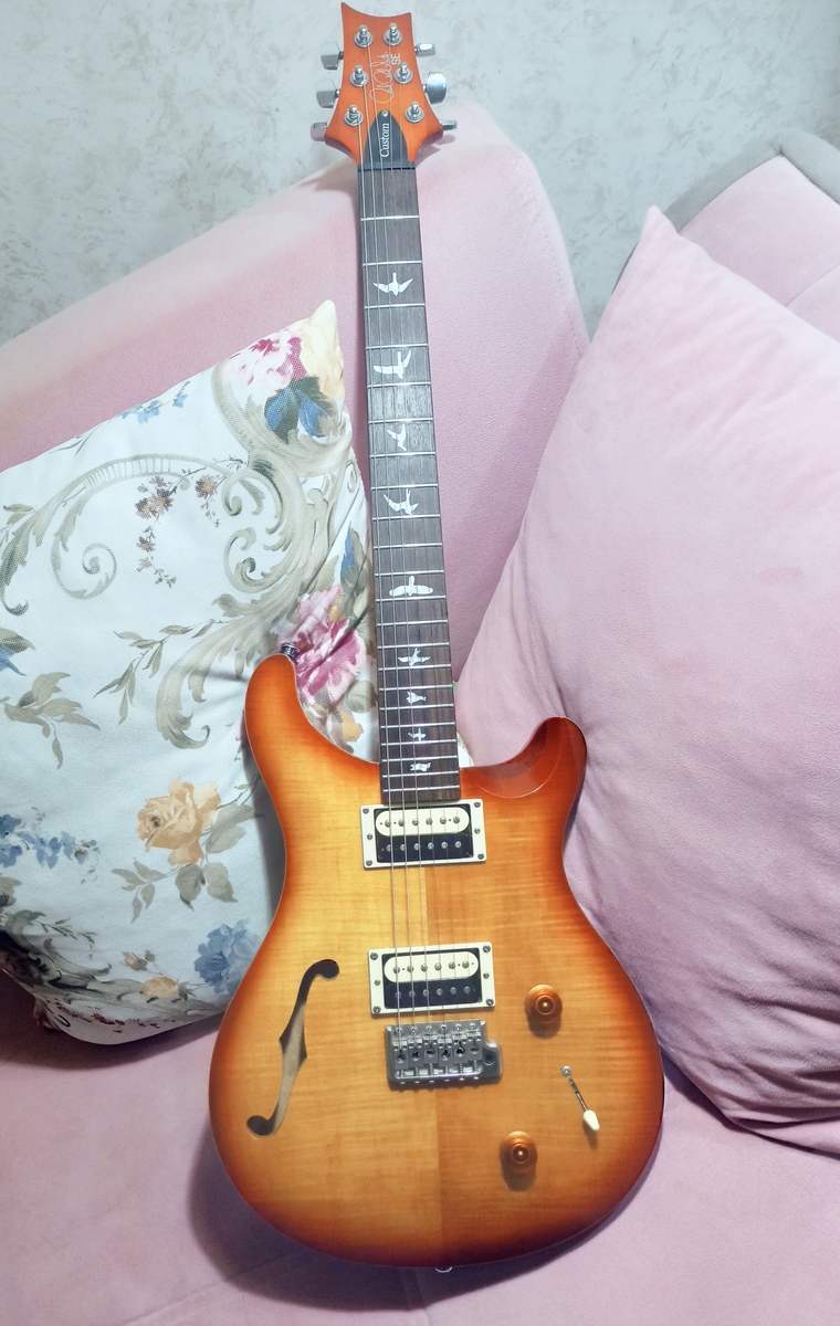 Music Gear Setup by hakanbaysal featuring PRS SE Custom 22 Semi-Hollow