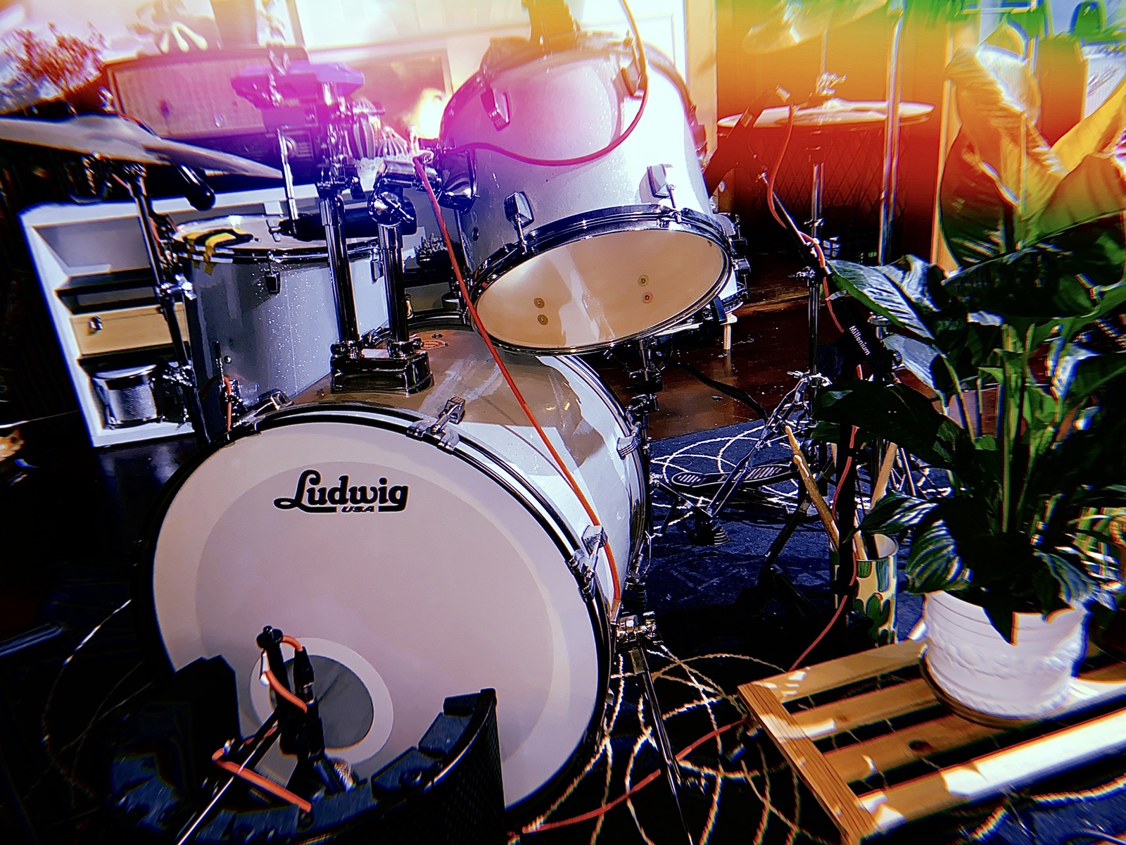 nbritoc88's music gear photo