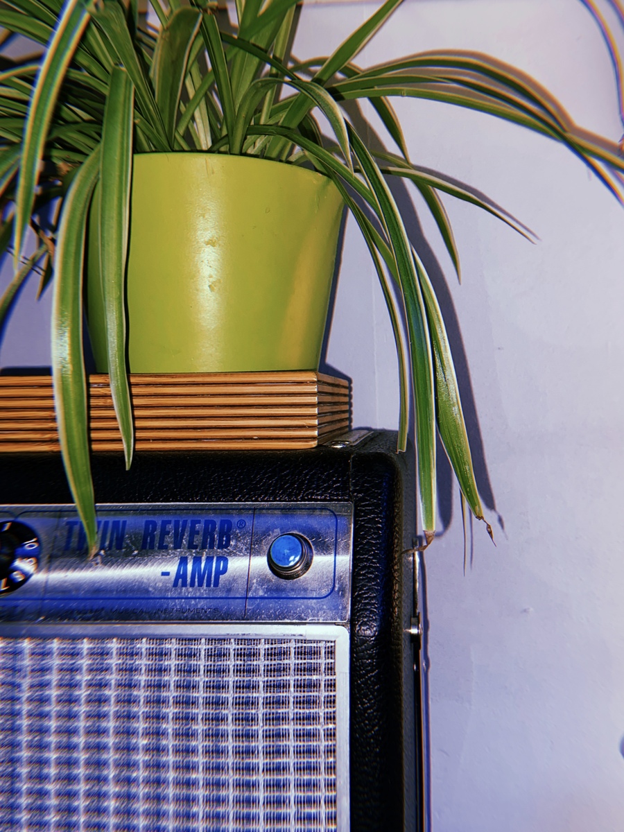 nbritoc88's music gear photo