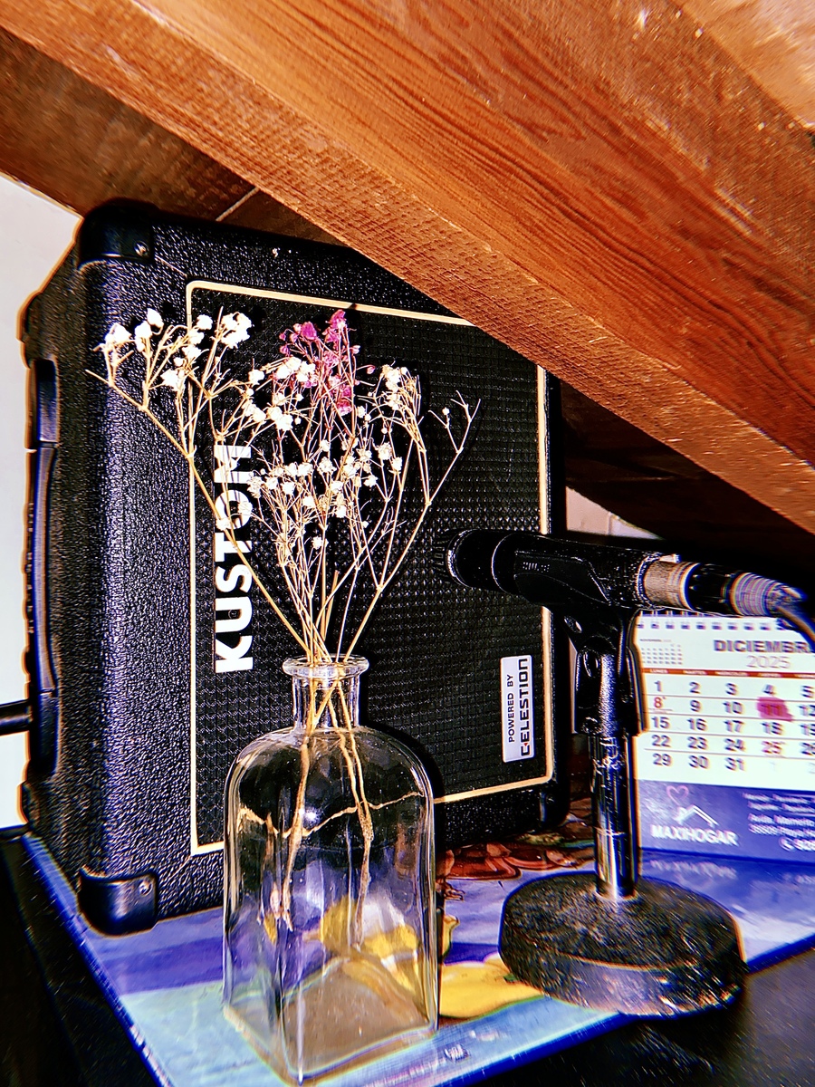Electronic Studio Setup by nbritoc88 featuring Kustom Celestion Amp and Shure SM57
