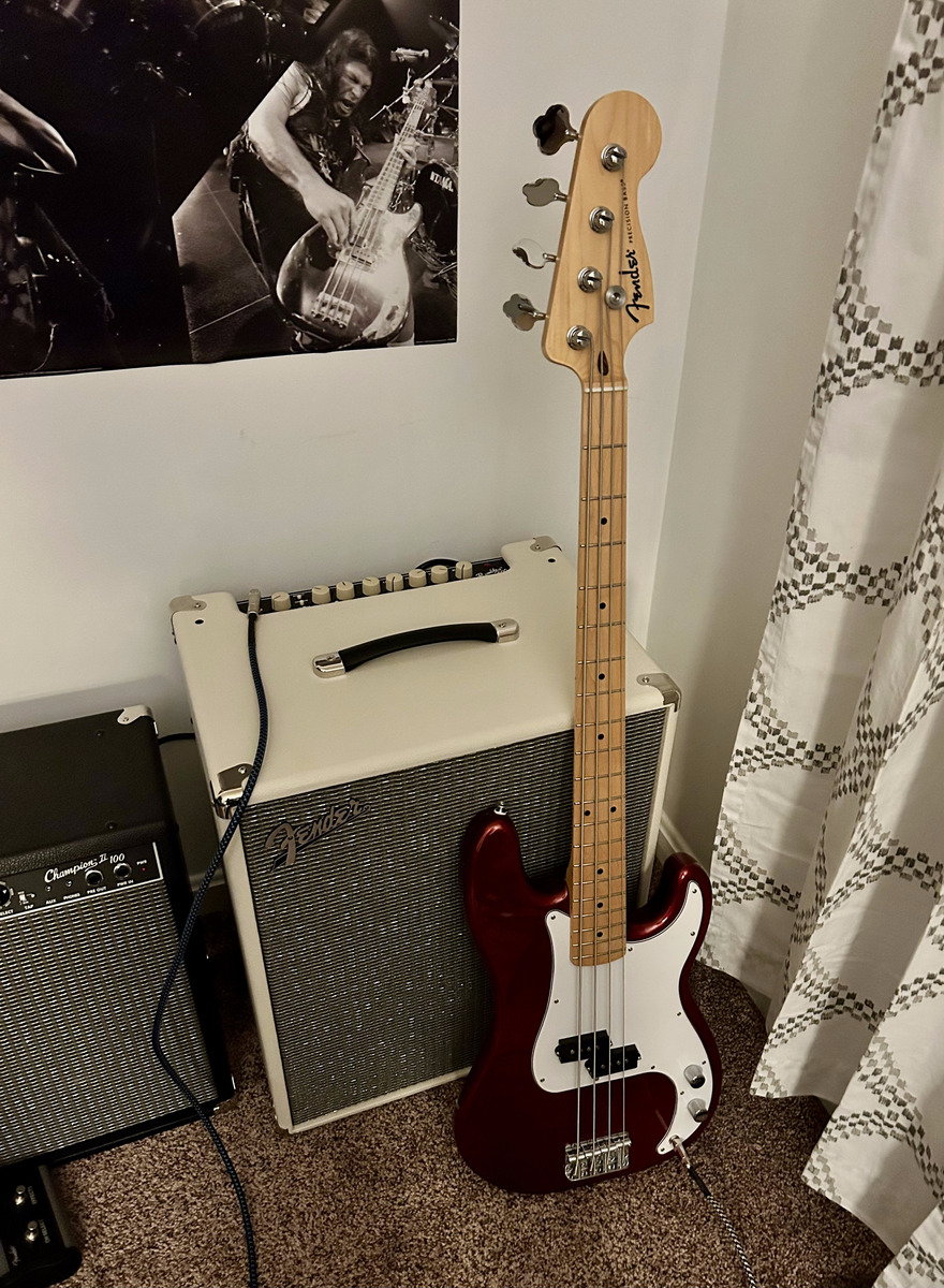 Amp Rig by zack_jade featuring Fender Precision Bass and Fender Rumble 500 V3 2x10 500W Bass Combo Amp Ivory