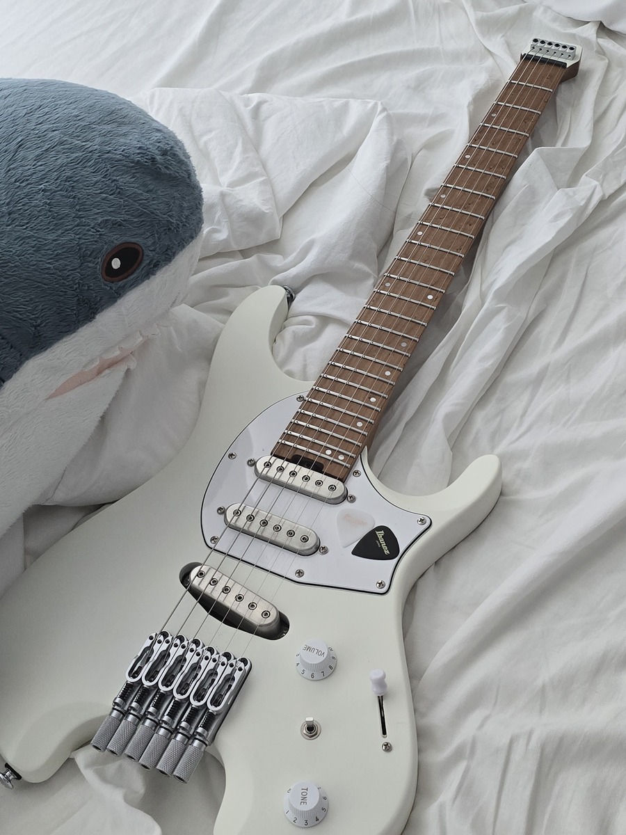 tsubakiline's music gear photo