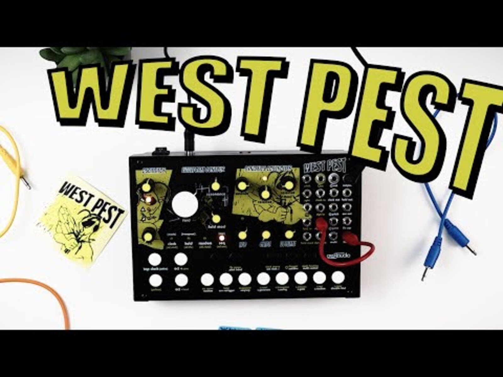 Synth Setup by sascha_petrovich featuring Cre8audio West Pest Semi-modular Analog Synthesizer