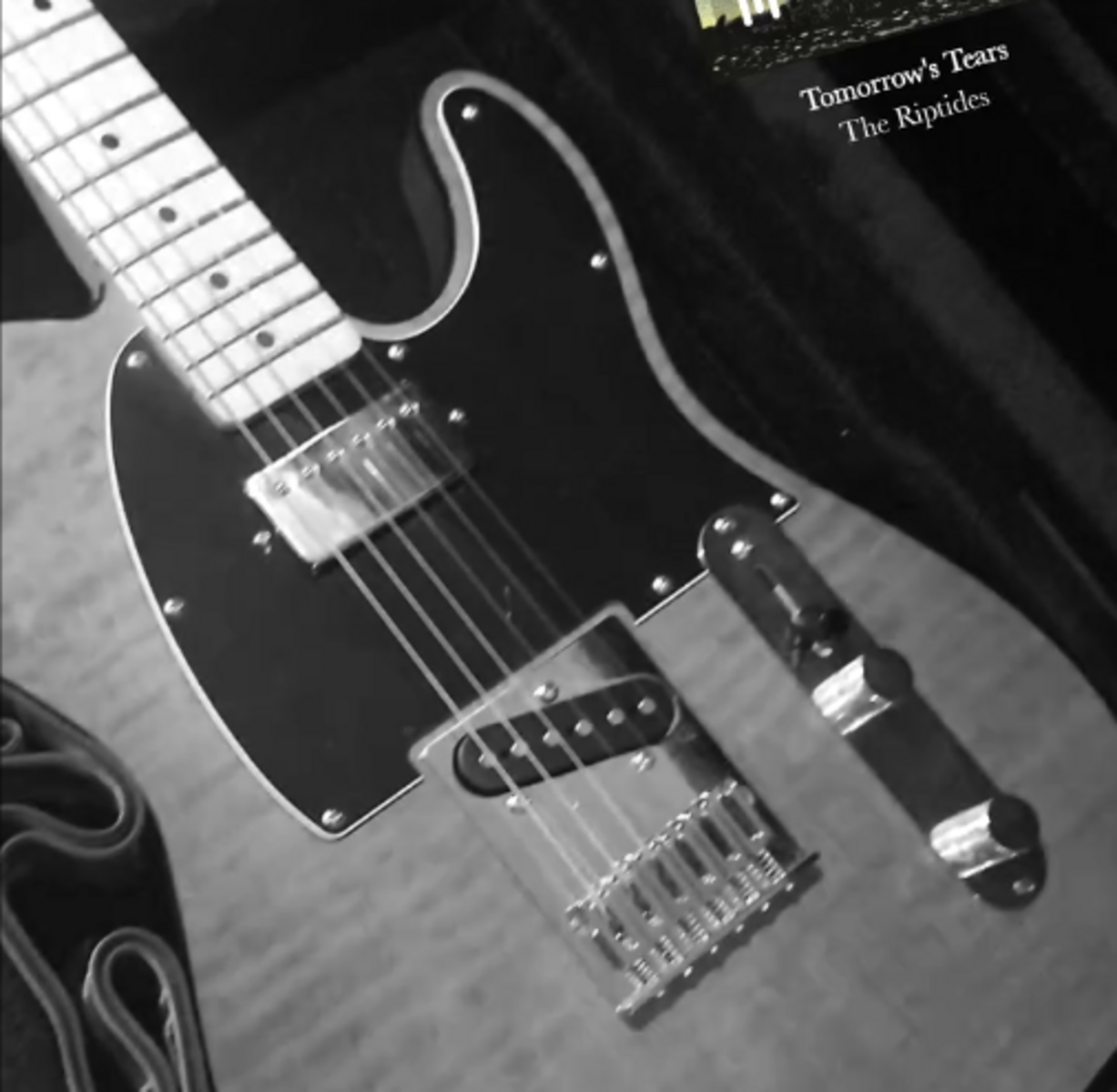 noahgonnellawhalebone's music gear photo
