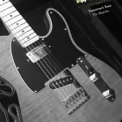 noahgonnellawhalebone's gear photo