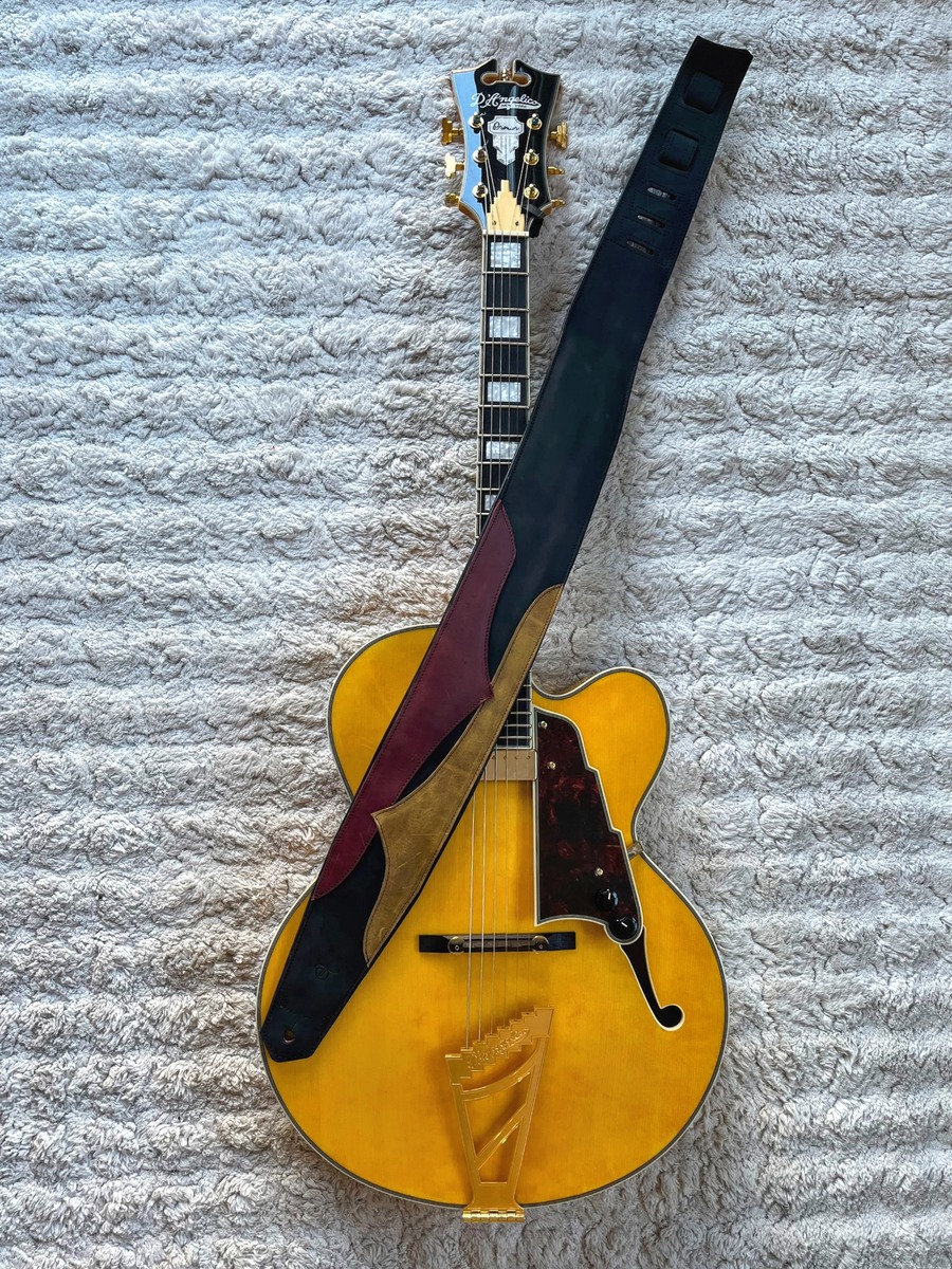 Music Gear Setup by yshams5 featuring D'Angelico Premier EXL-1 Hollowbody Guitar