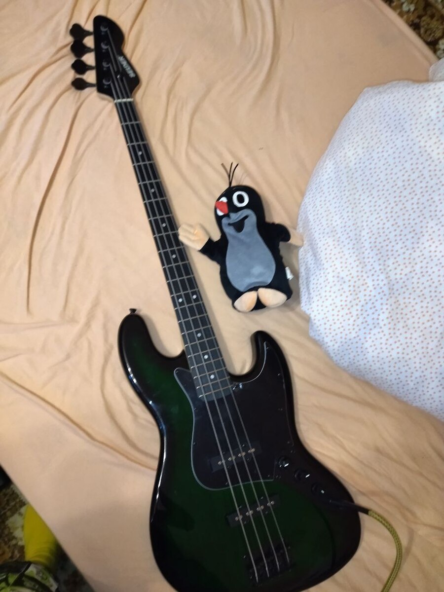 newsylveon's music gear photo