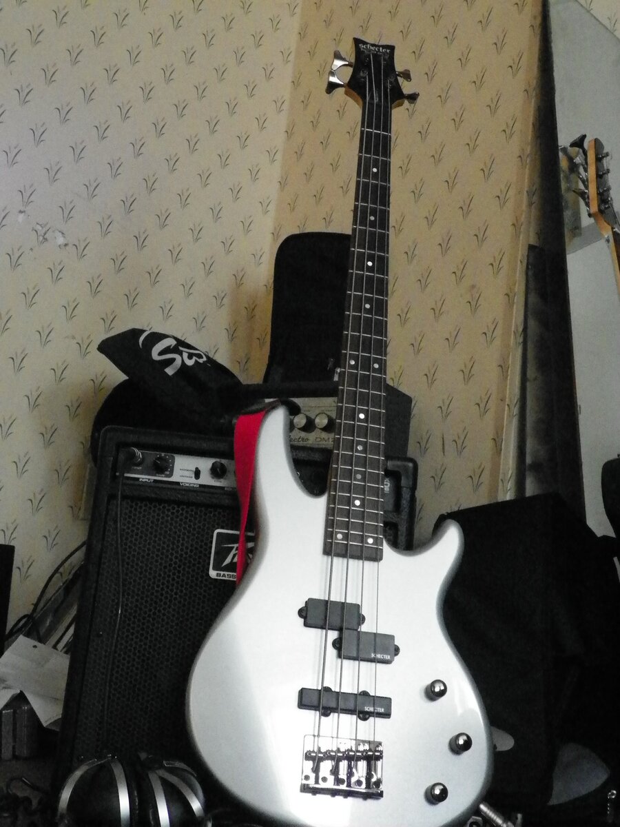 Amp Rig by midwesternblood featuring Schecter Raiden Deluxe 4