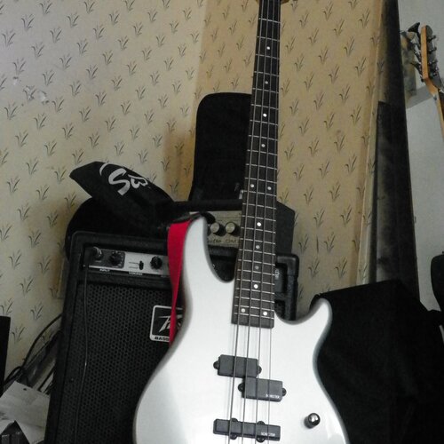 Photo of Schecter Raiden Deluxe 4 in a amplifier and bass
