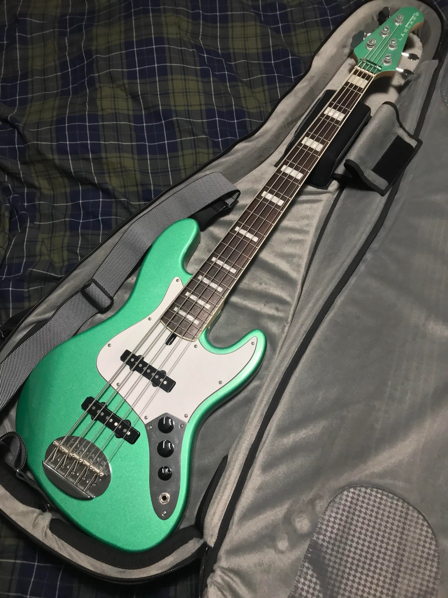 Music Gear Setup by despair_monolith featuring Lakland Limited Edition Skyline 55-60 Vintage J-Bass