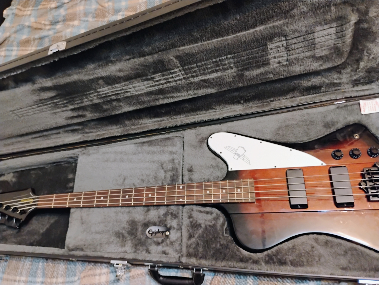 Metal Music Gear Setup by kenlly_pritchett featuring Epiphone Thunderbird IV