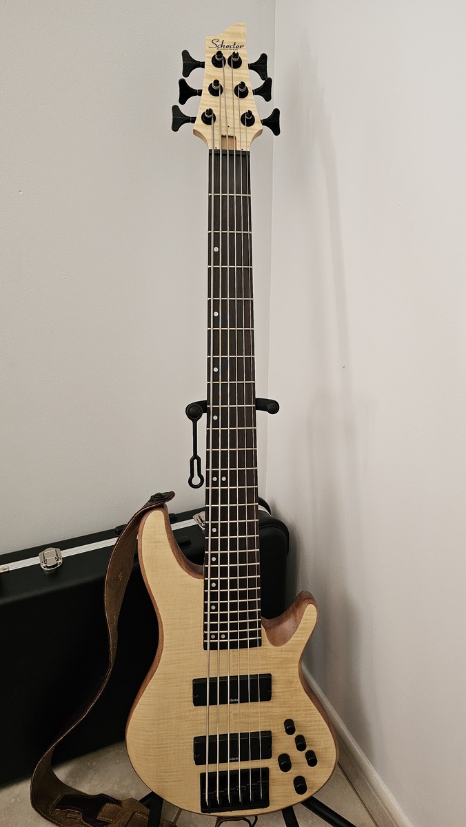 diegs's music gear photo