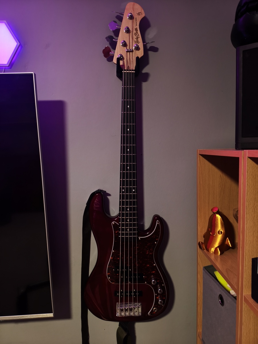 Music Gear Setup by lukus featuring Harley Benton PJ-5 HTR