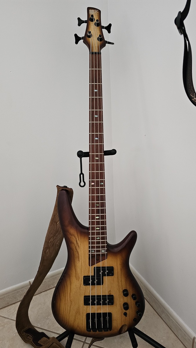 diegs's music gear photo