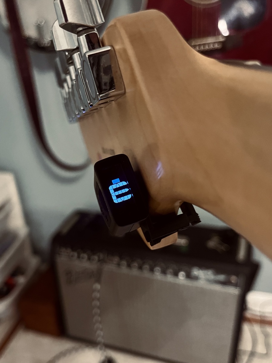 Music Gear Setup by millerman7355 featuring D'Addario Micro Headstock Tuner