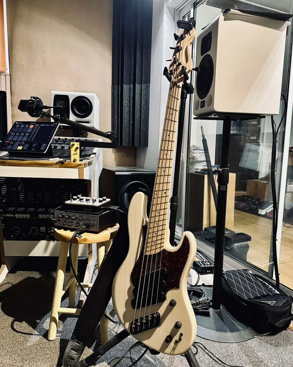 Pedalboard by megalobass featuring Dingwall Super J 5, Fishman Platinum Pro EQ Analog Preamp, and Aguilar Tone Hammer 350