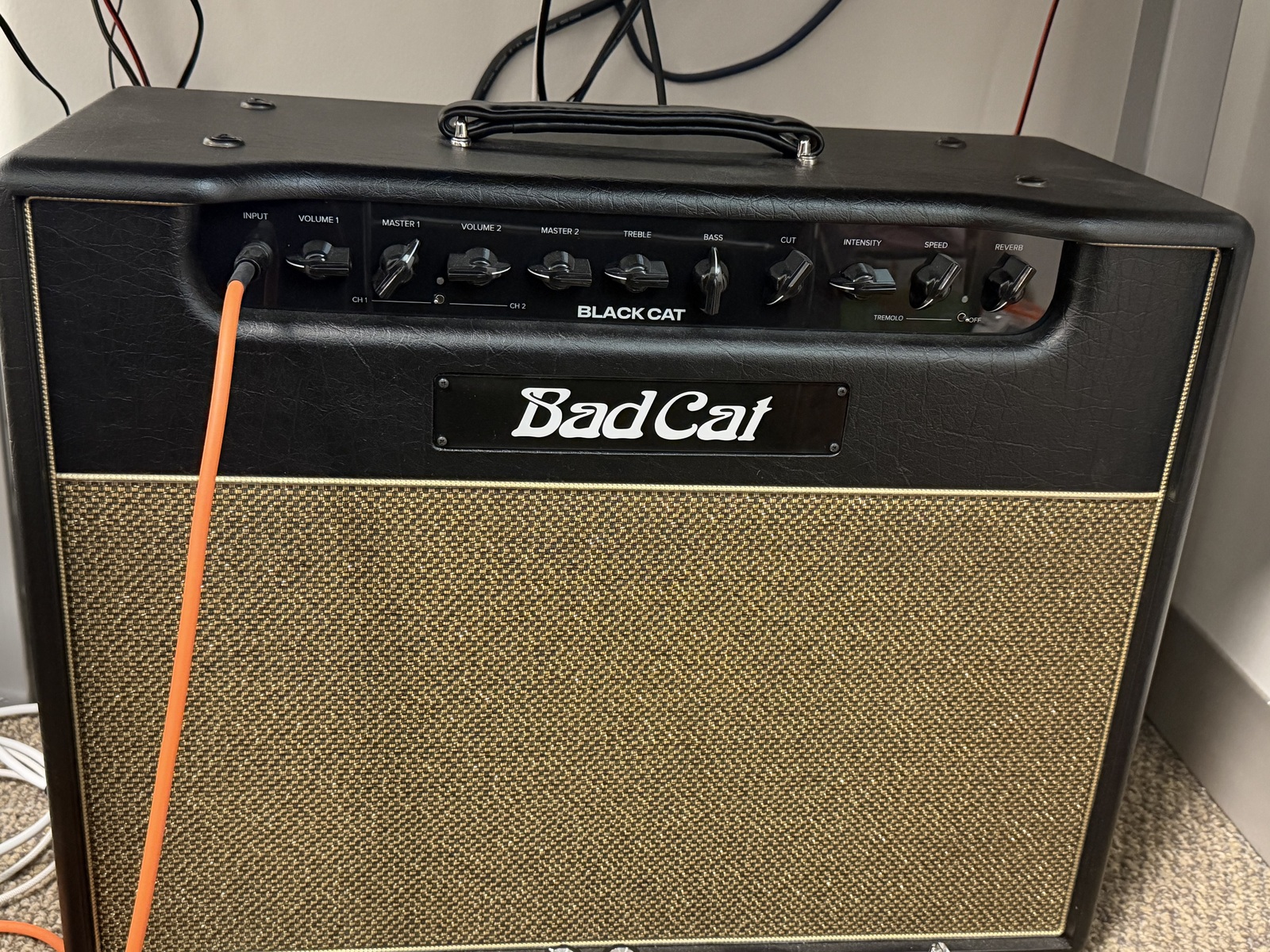 Amp Rig by odbsoshdjidbd featuring Bad Cat Black Cat Handwired Series 2-Channel 20-Watt Guitar Amp Head
