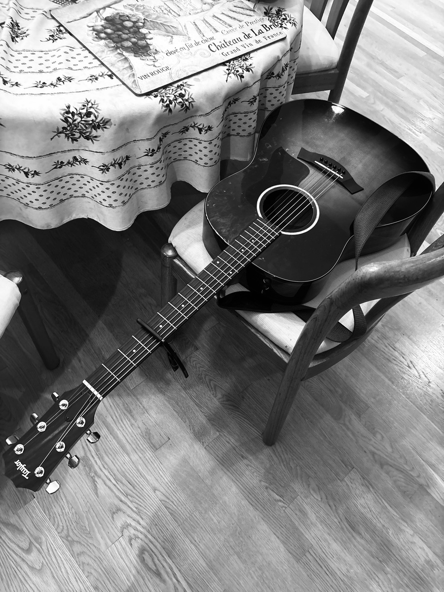 stephen_and_the_humans_music's music gear photo