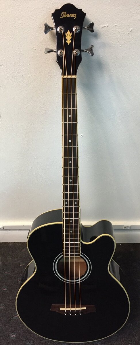 Music Gear Setup by jackgooginss featuring Ibanez AEB8E Acoustic Bass