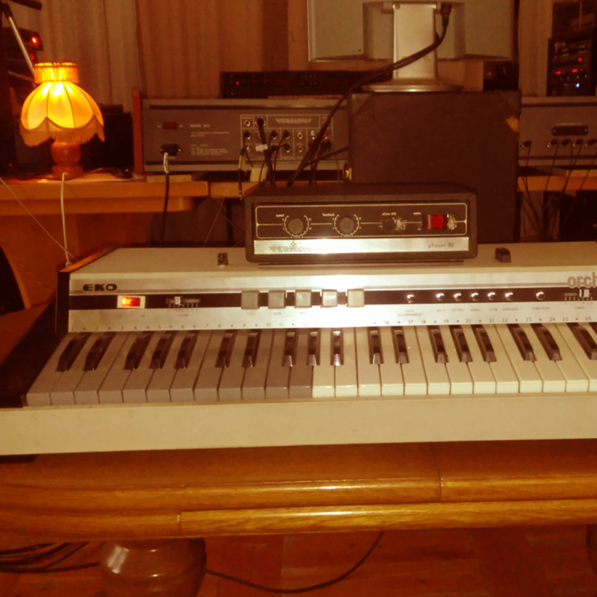 cantarelos's music gear photo