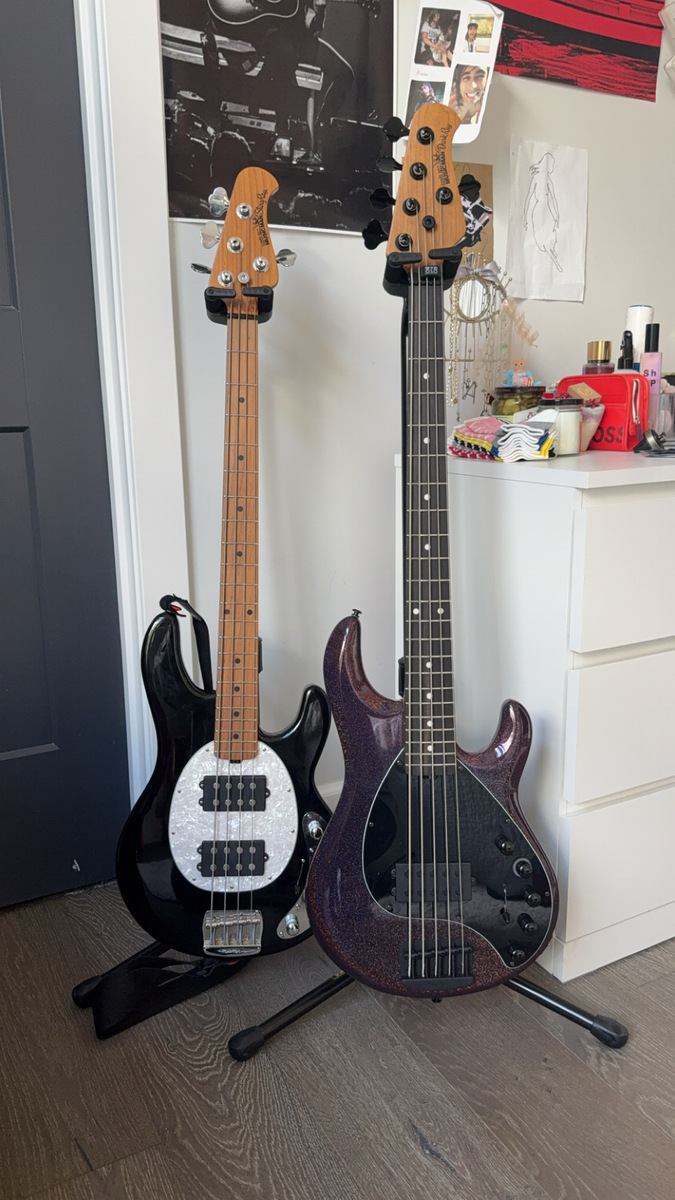 Music Gear Setup by alexaaschaeferr featuring Ernie Ball Music Man StingRay Special HH Bass Guitar and Ernie Ball Music Man DarkRay Bass Guitar - with Ebony Fingerboard