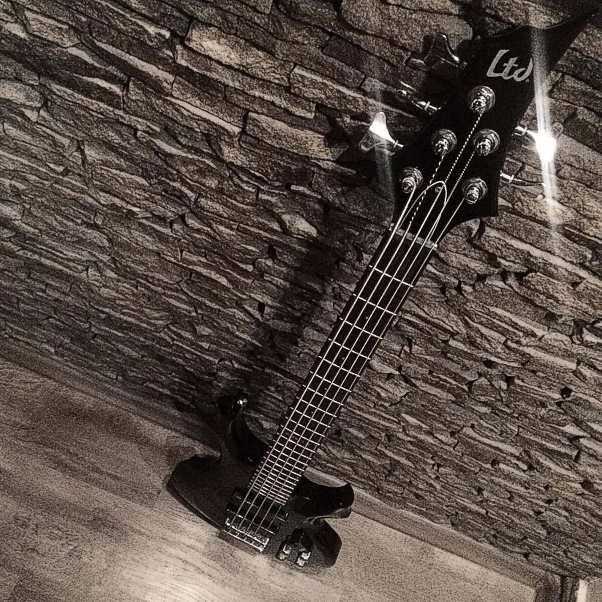 Music Gear Setup by eger_feh2o featuring LTD F-105