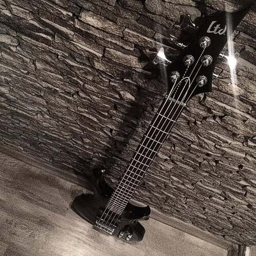 Photo of LTD F-105 in a guitar and bass