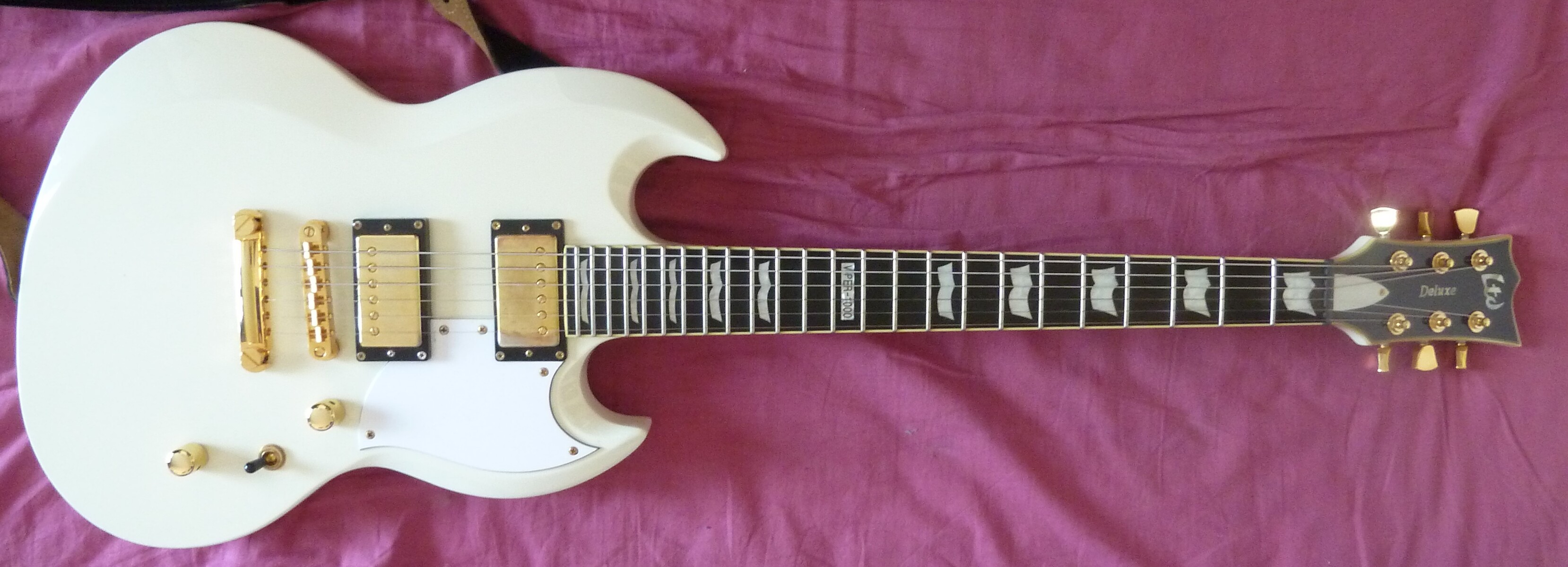 Music Gear Setup by mrjburton featuring ESP LTD Viper-1000 Deluxe and Levy´s Suede Black Strap