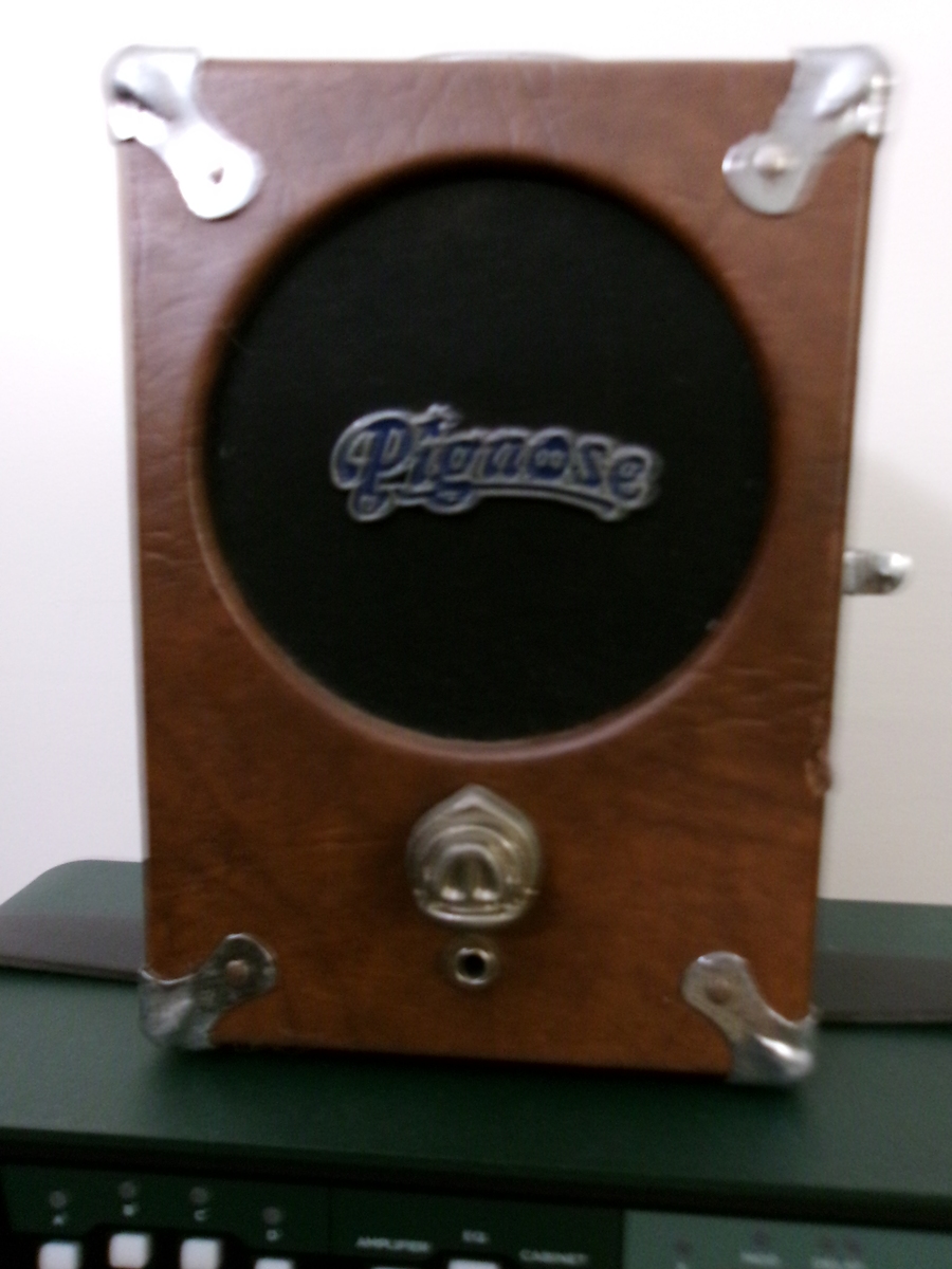 Amp Rig by awwim featuring Pignose "Legendary" 7-100