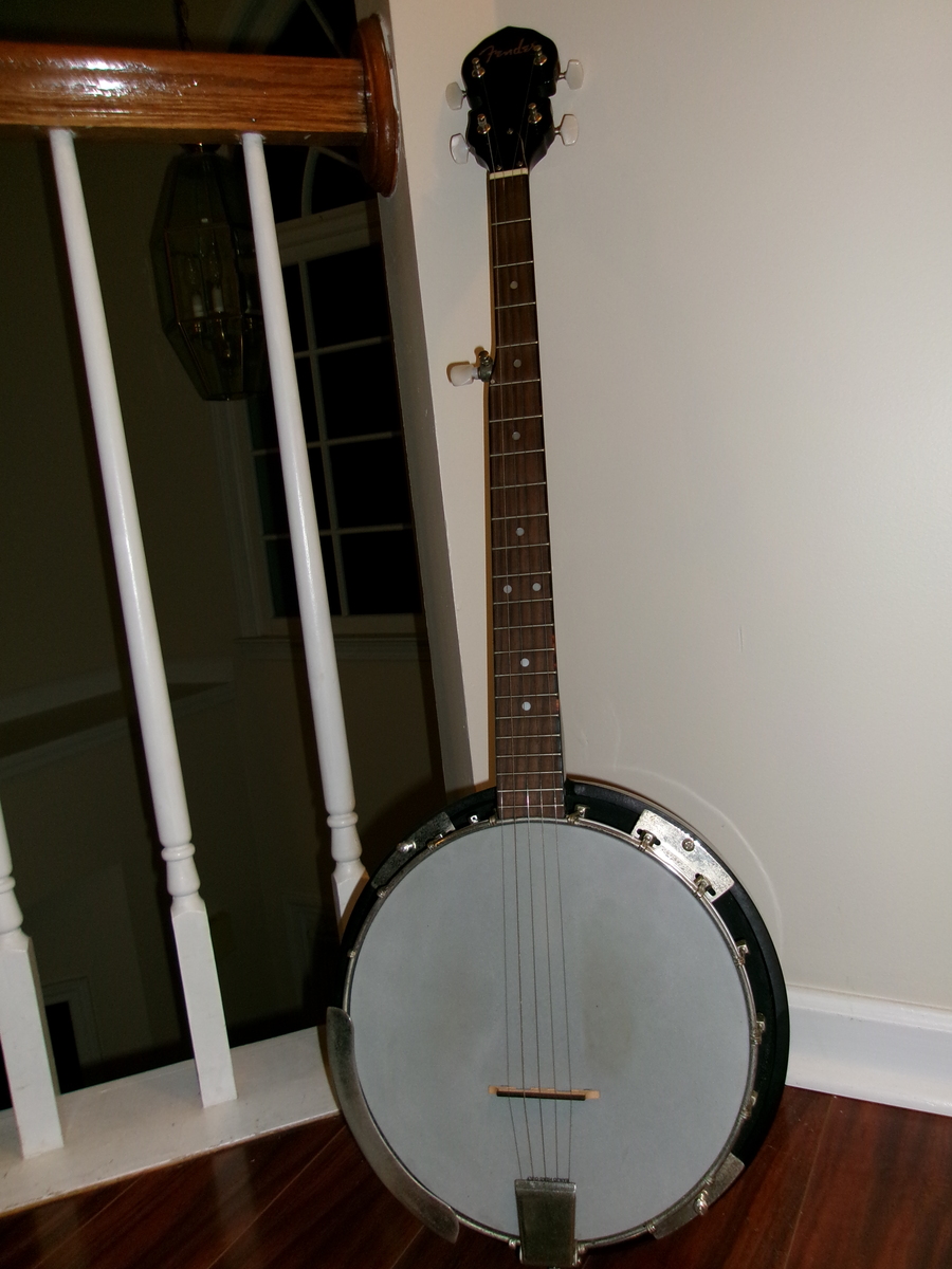 Music Gear Setup by awwim featuring Fender FB-300 Banjo