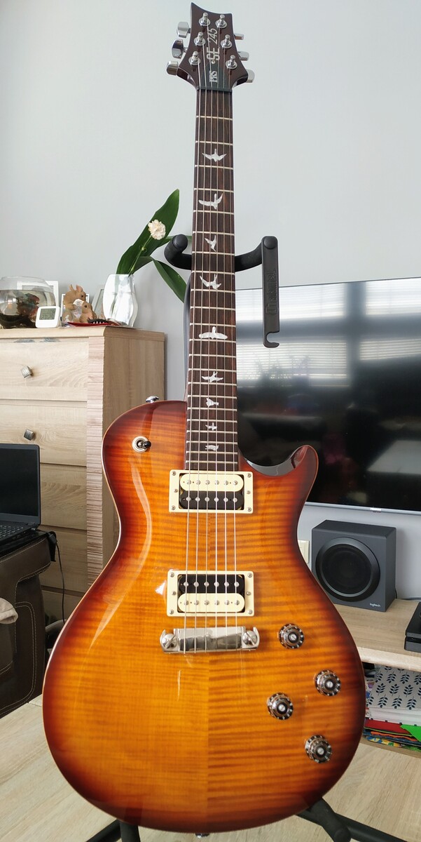 Metal Music Gear Setup by marko_lekic featuring PRS SE 245