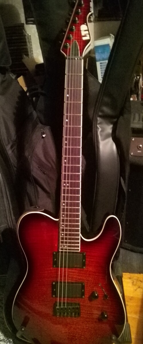 EMG Music Gear Setup by mrjburton featuring ESP LTD TE-401 FM, EMG 89R Active Alnico Coil Splitting Neck Humbucker Guitar Pickup, and EMG 81TW
