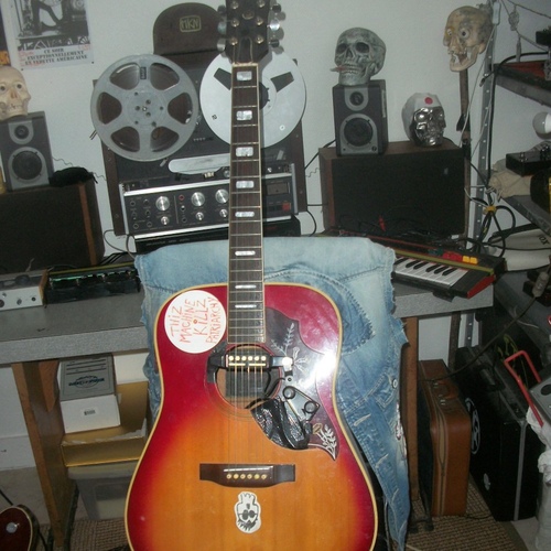 Photo of Revox Audio B77 MK2 in a guitar