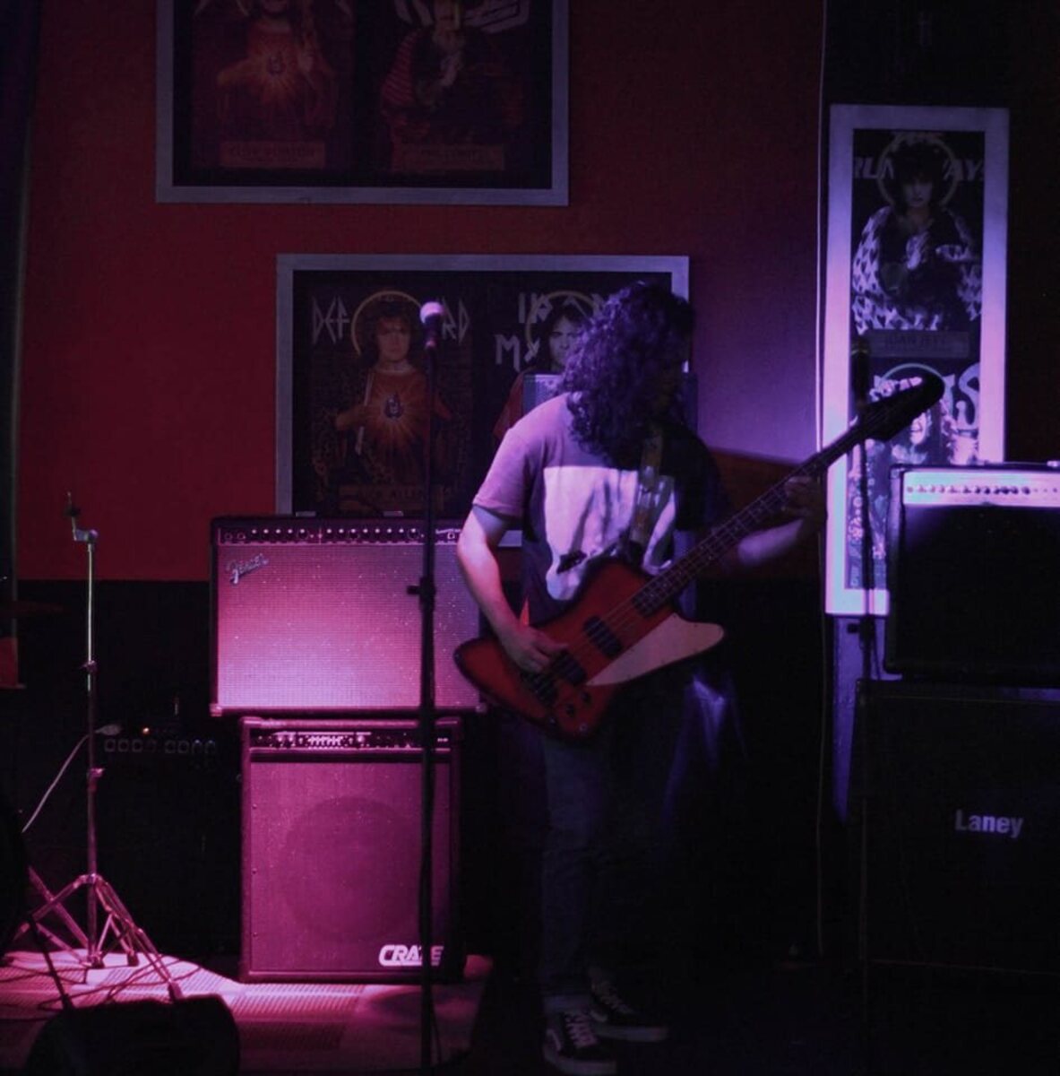 Live Rig by dylan_coronell featuring Epiphone Thunderbird Bass