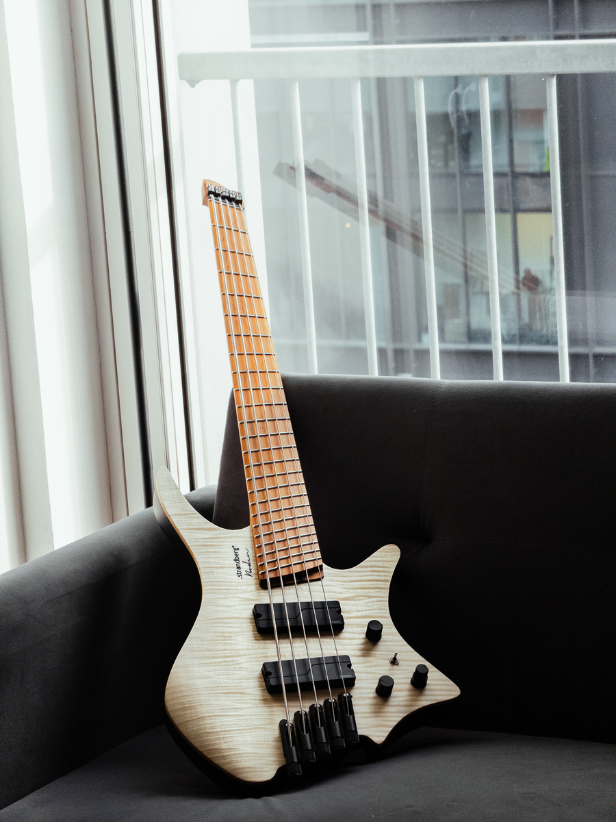 Music Gear Setup by taeshin featuring .strandberg* Boden Bass Original 5