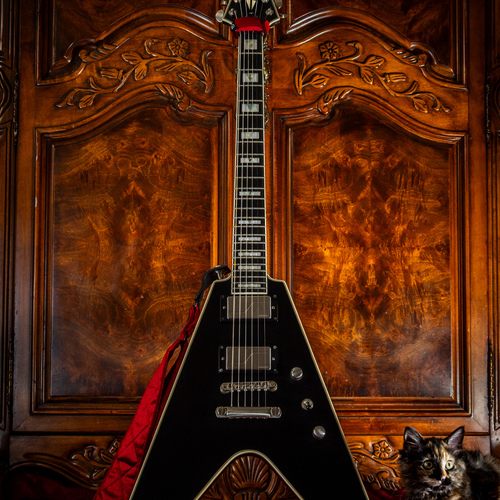 denimdingus's gear photo