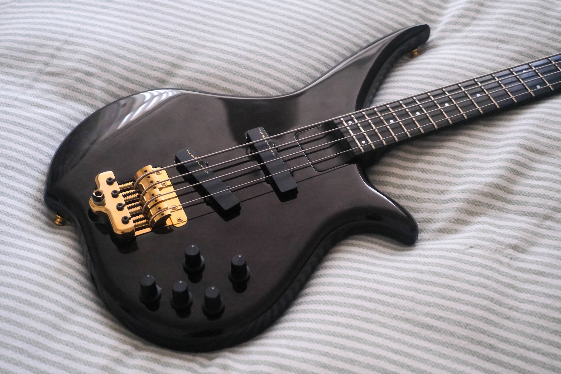 Gear photo by bassist