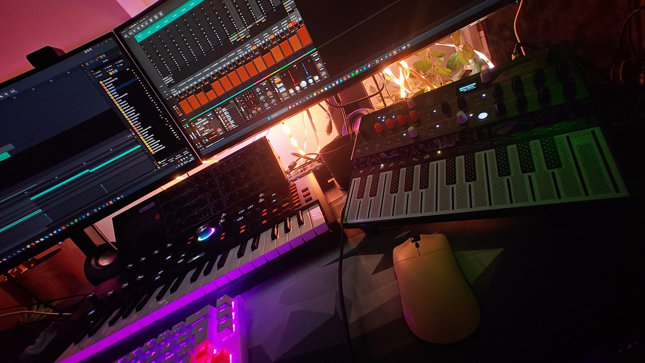 bludwave's music gear photo