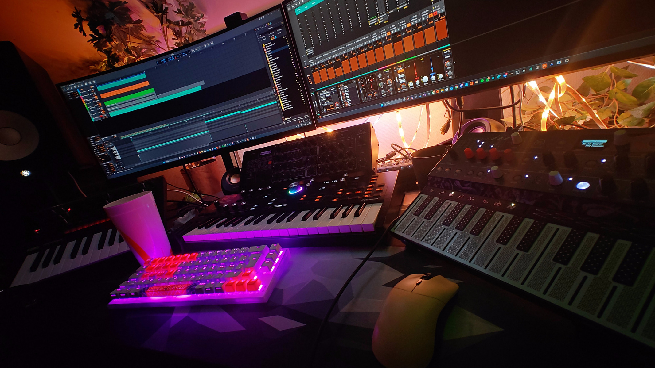 bludwave's music gear photo