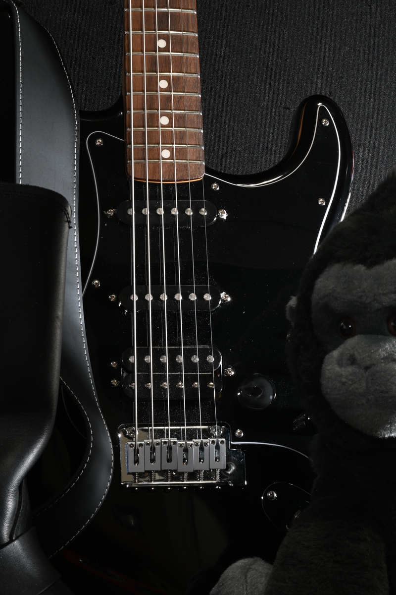 Music Gear Setup by denimdingus featuring Fender Standard Stratocaster HSS