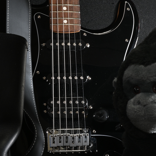 denimdingus's gear photo