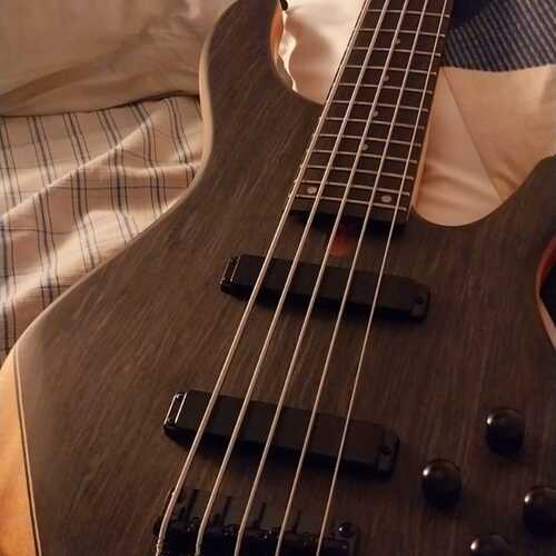 Photo of Tagima Millenium 5 in a bass