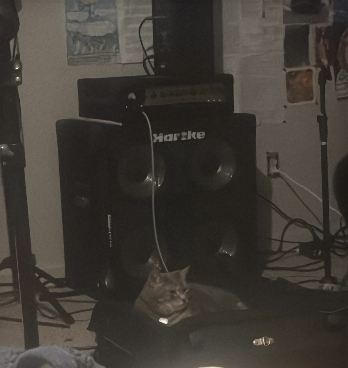 Gear photo by izzyizix