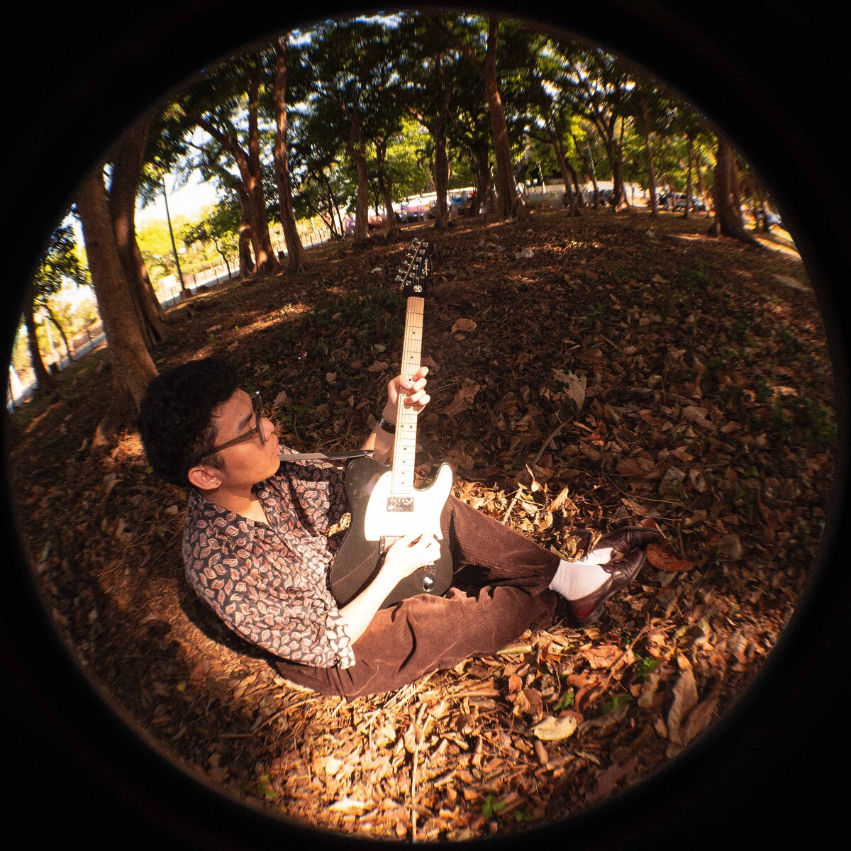 Music Gear Setup by arlaux featuring Squier Contemporary Telecaster HH, IBOX Brazil String Damper String Muters, and Ibanez Tim Henson TOD Guitar Strap
