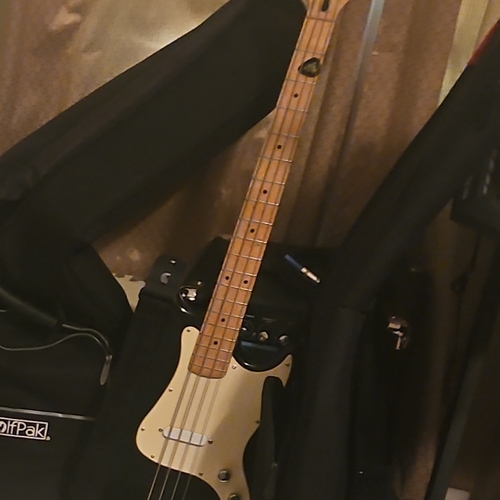 thatoneguitarbro's gear photo